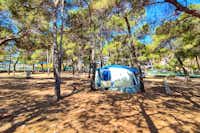 Camp Porat - Standplätze auf dem Campingplatz