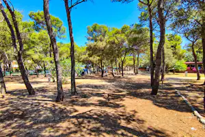 Camp Porat - Standplätze im Schatten der Bäume