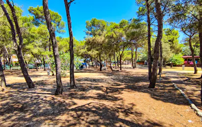 Camp Porat