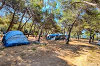 Camp Porat - Zeltplätze zwischen den Bäumen auf dem Campingplatz