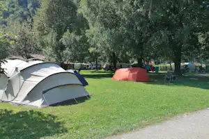 Zelte auf einem grünen Campingplatz auf einer Wiese, im Hintergrund Bäume und ein Weg am Rand.