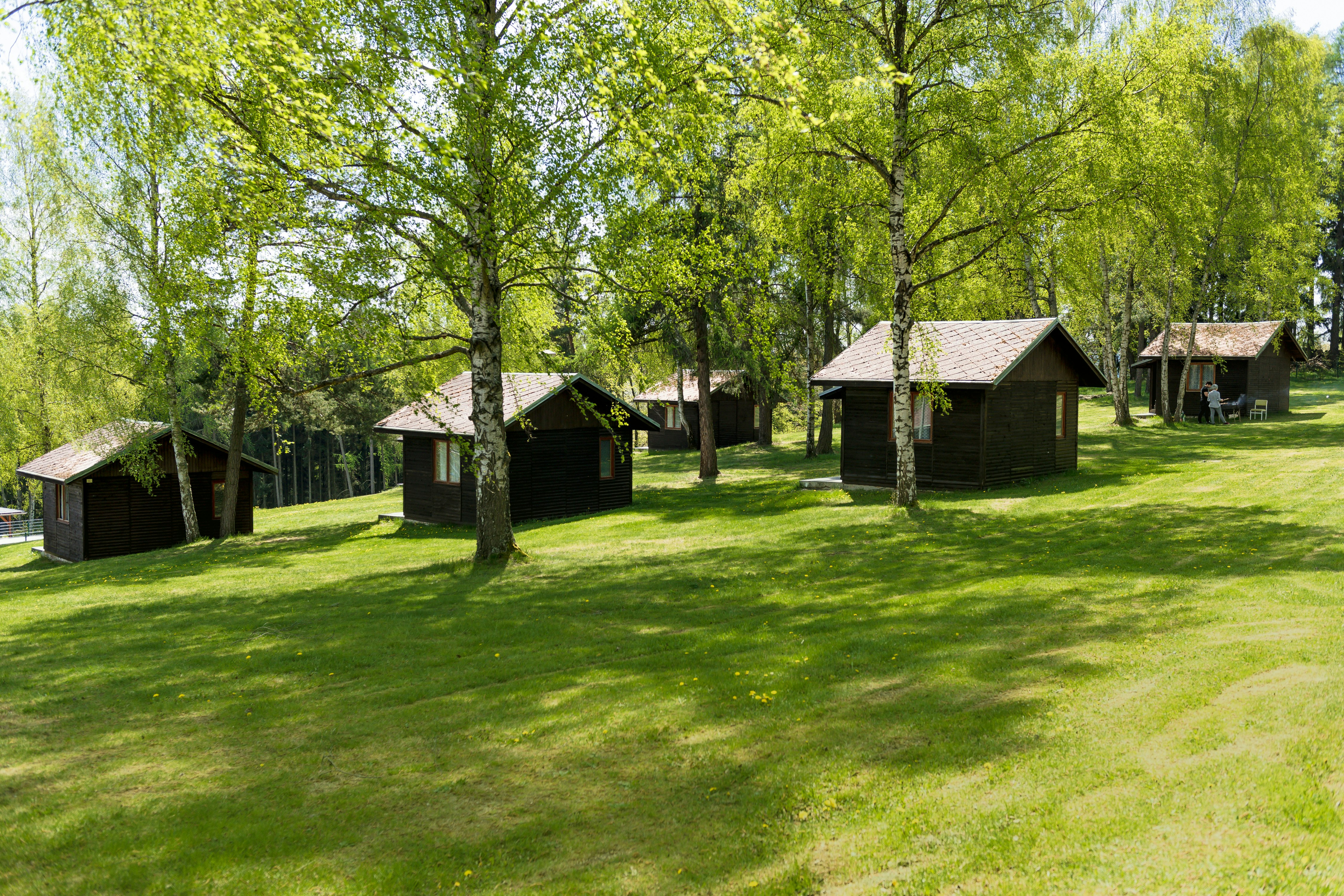 Camp Vary