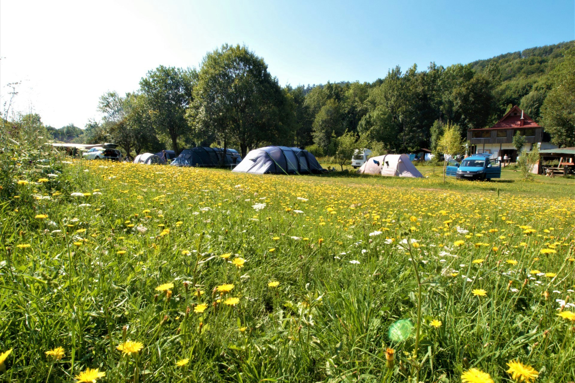 Camp Velebit - Blick auf die Standplätze auf der Wiese