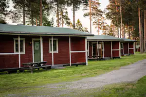 Reihen von roten Ferienhäusern mit grünen Türen und Veranda, Holzstühlen und Wegen im Wald mit hohen Kiefern.