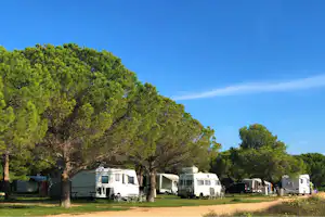 Camp Vransko Jezero Crkvine - Stellplatz vom Campingplatz im Grünen