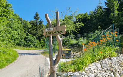 Camp Zaplana
