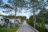 Camp Zlatibor -Stellplatz für Wohnwagen unter Bäumen auf dem Campingplatz