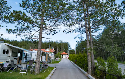 Camp Zlatibor