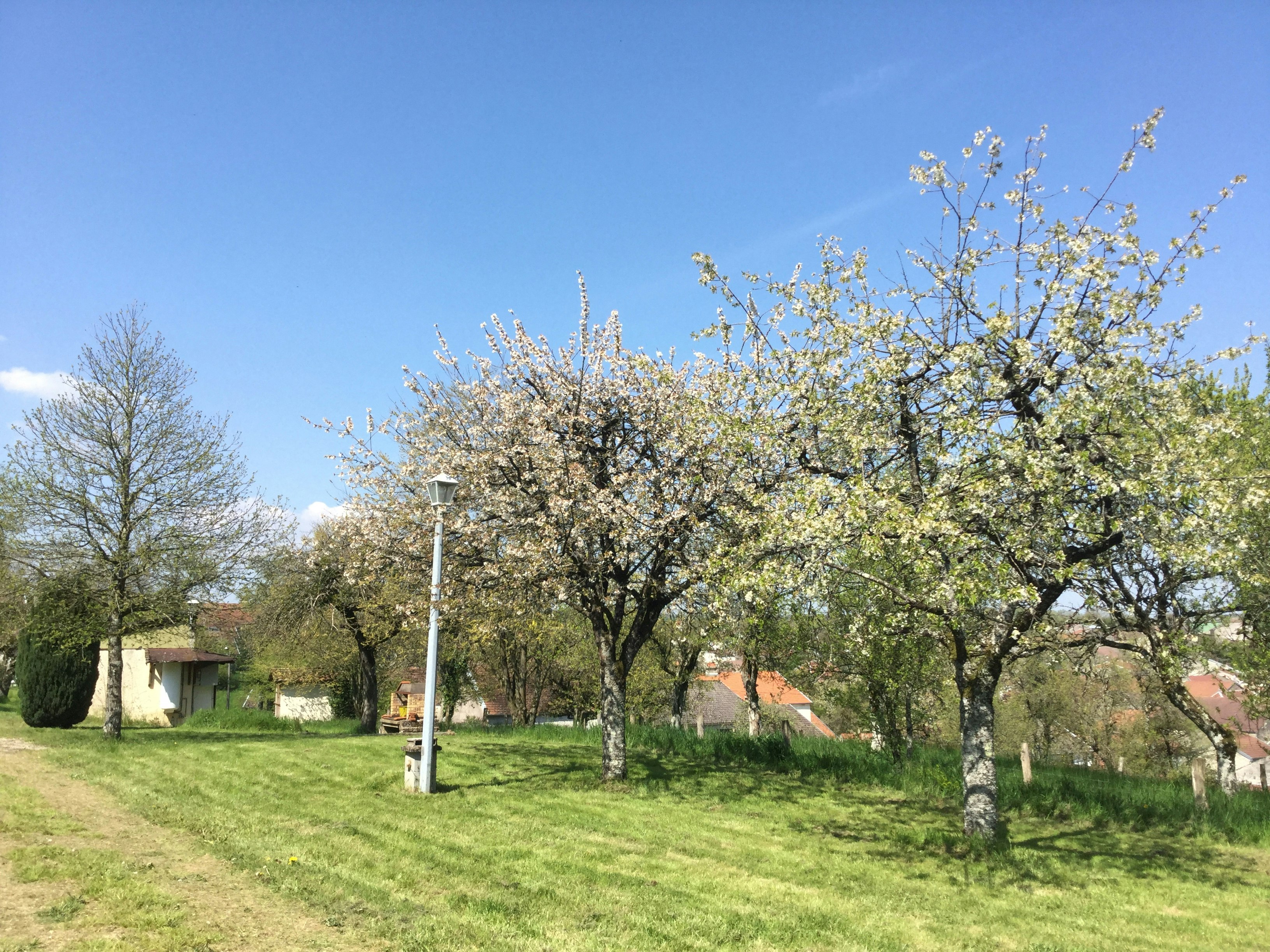 Camp'eco aire naturelle Voisey