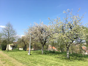 Camp'eco aire naturelle Voisey