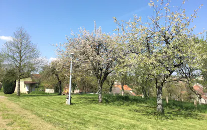 Camp'eco aire naturelle Voisey