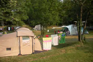 Mehrere Campingzelte auf einer Wiese, Wäscheleine mit bunten Tüchern und Bäume im Hintergrund.