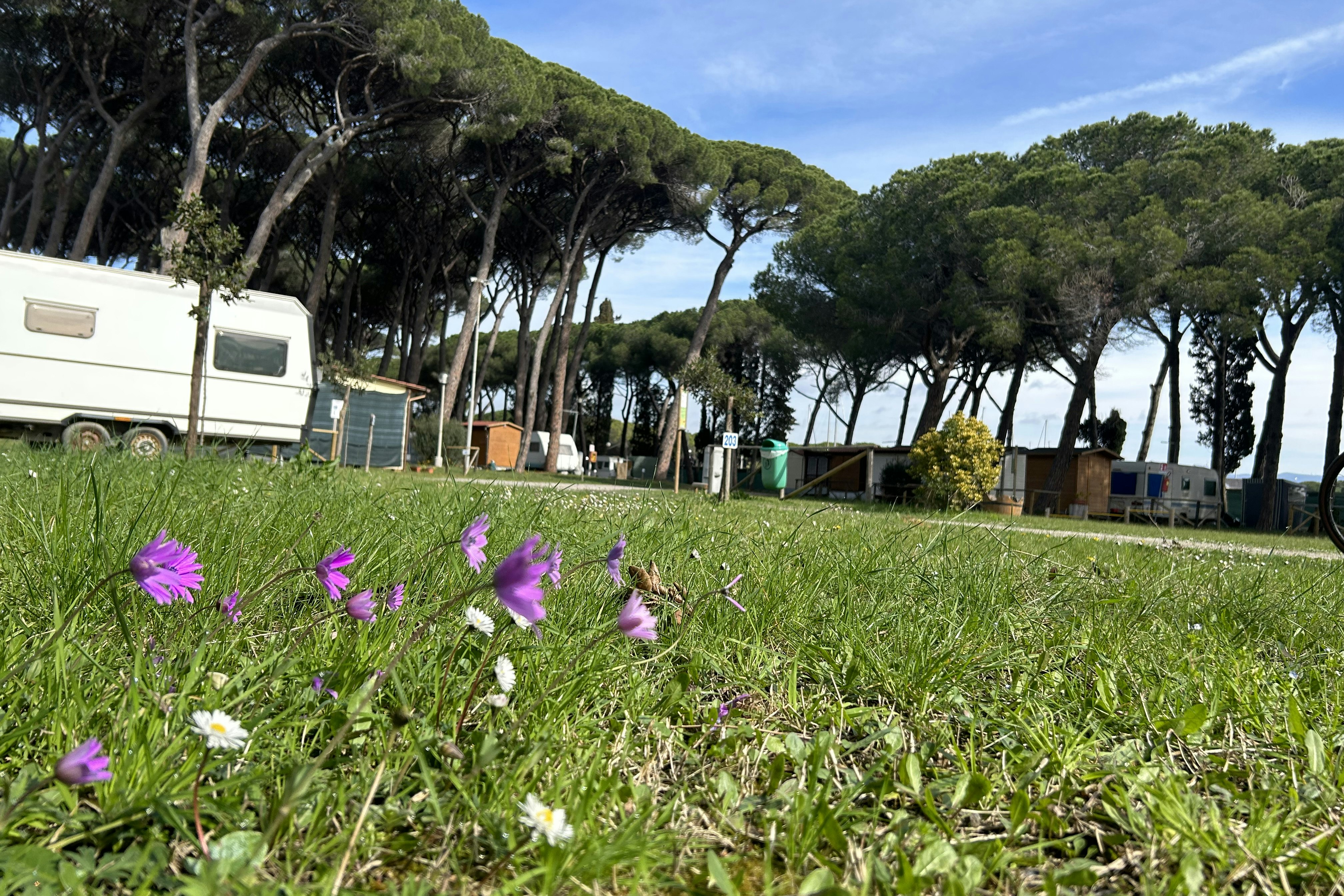 Campeggio Bocca di Cecina - Standplätze auf dem Campingplatz