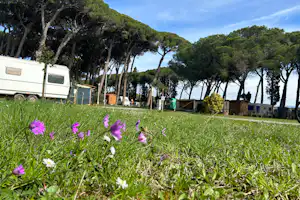 Campeggio Bocca di Cecina - Standplätze auf dem Campingplatz