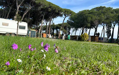 Campeggio Bocca di Cecina