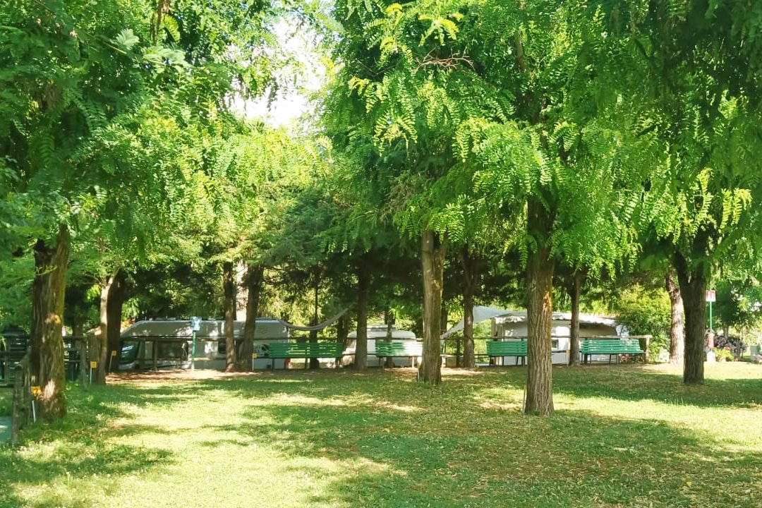 Camping Bracchetto Vetta Standplätze im Grünen unter Bäumen