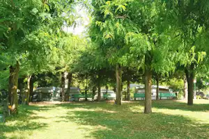 Camping Bracchetto Vetta Standplätze im Grünen unter Bäumen