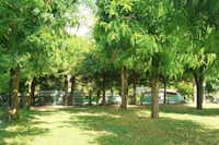 Camping Bracchetto Vetta Standplätze im Grünen unter Bäumen