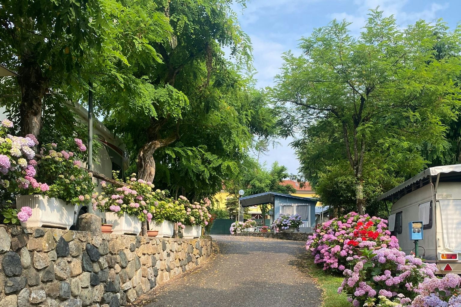 Camping Bracchetto Vetta Standplätze umgeben von Blumen und Bäumen