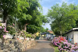 Camping Bracchetto Vetta Standplätze umgeben von Blumen und Bäumen