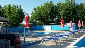 Schwimmbad mit Liegestühlen und Sonnenschirmen, blaues Becken, Zaun und Bäume im Hintergrund.