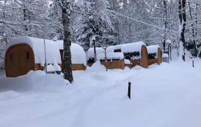 Campeggio Il Bosco