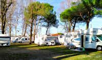 Campeggio Italia - Standplätze mit Wohnmobilen auf begrastem Untergrund im Halbschatten unter Bäumen.