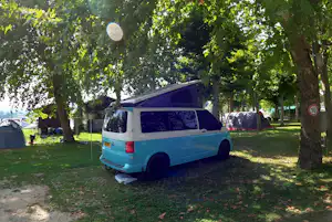 Lido di Sesto Campeggio La Sfinge - Standplätze zwischen den Bäumen auf dem Campingplatz