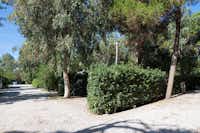 Campeggio Villaggio dei Pini - Wohnmobil- und  Wohnwagenstellplätze im Schatten der Bäume auf dem Campingplatz