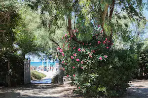 Campeggio Villaggio dei Pini - Zugang zum Meer auf dem Campingplatz