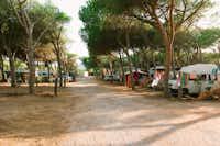 Campeggio Villaggio Torre del Porticciolo - Allee des Campingplatzes mit Stellplätzen an beiden Seiten, auf denen Wohnwagen und Zelte stehen