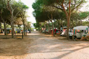 Campeggio Villaggio Torre del Porticciolo - Allee des Campingplatzes mit Stellplätzen an beiden Seiten, auf denen Wohnwagen und Zelte stehen