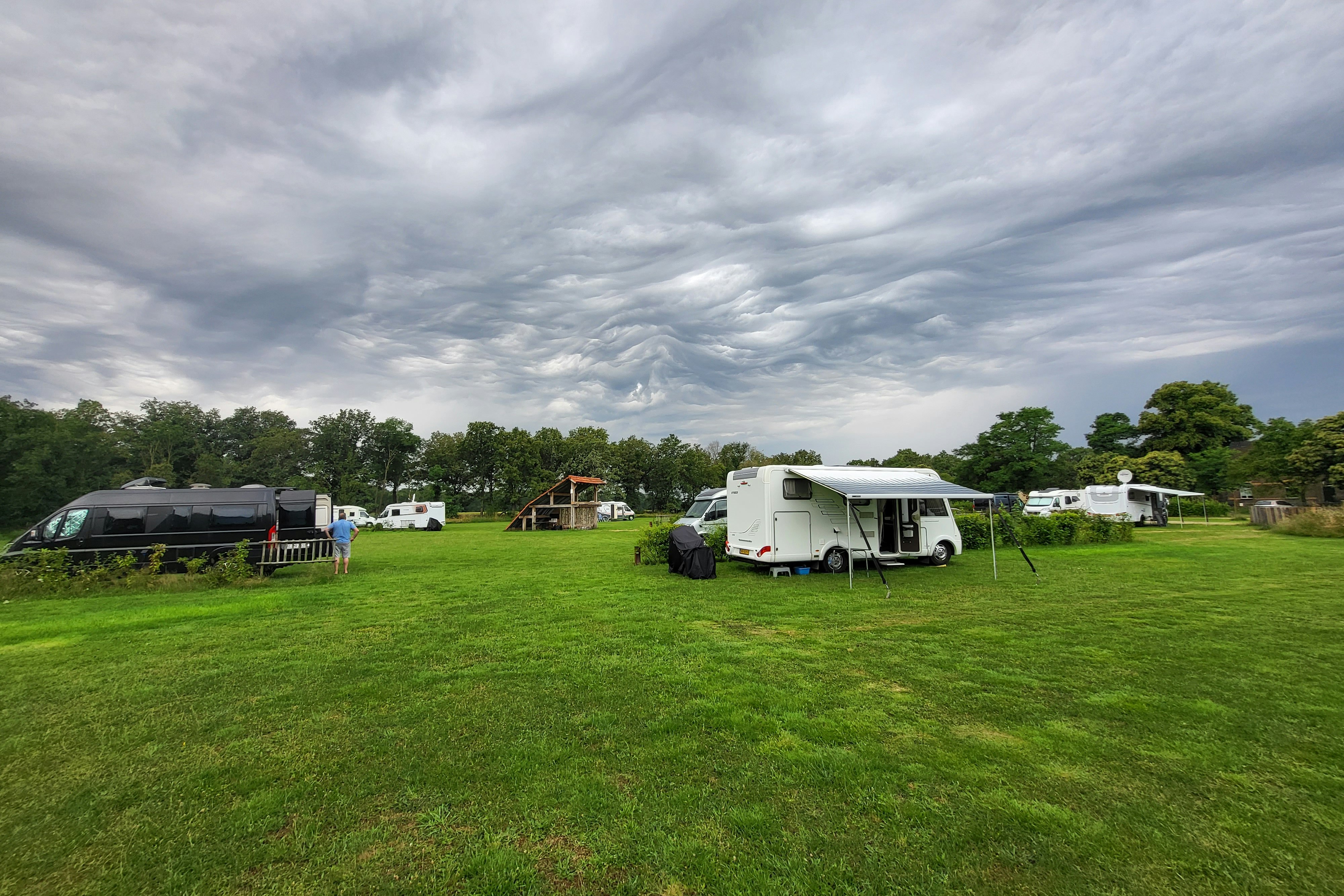Camper & Chalets Hoeve Twente - Standplatzwiese auf dem Campingplatz