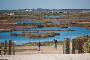 Camper Park Playas de Luz - Gäste fahren Fahrrad in der Umgebung des Campingplatzes