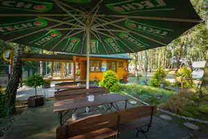 Holzhütte am Campingplatz mit Terrasse, Bank und Tisch unter grünem Sonnenschirm im Wald mit Wegen und Bepflanzung.