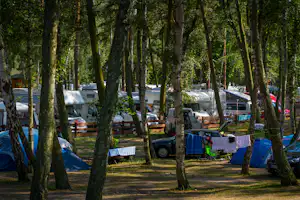 Campingplatz im Wald: Wohnmobile und Autos zwischen Bäumen, Zelte mit Wäscheleine und Stellplätzen auf dem Gras.