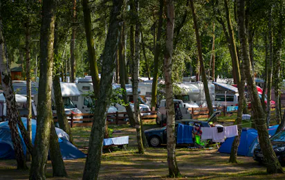 Camper Park Stogi 114