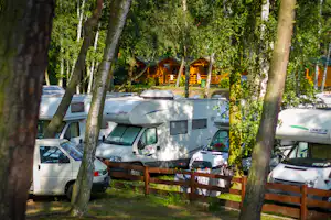 Camper Park Przy Wydmach - bewaldeter Wohnmobilstellplatz
