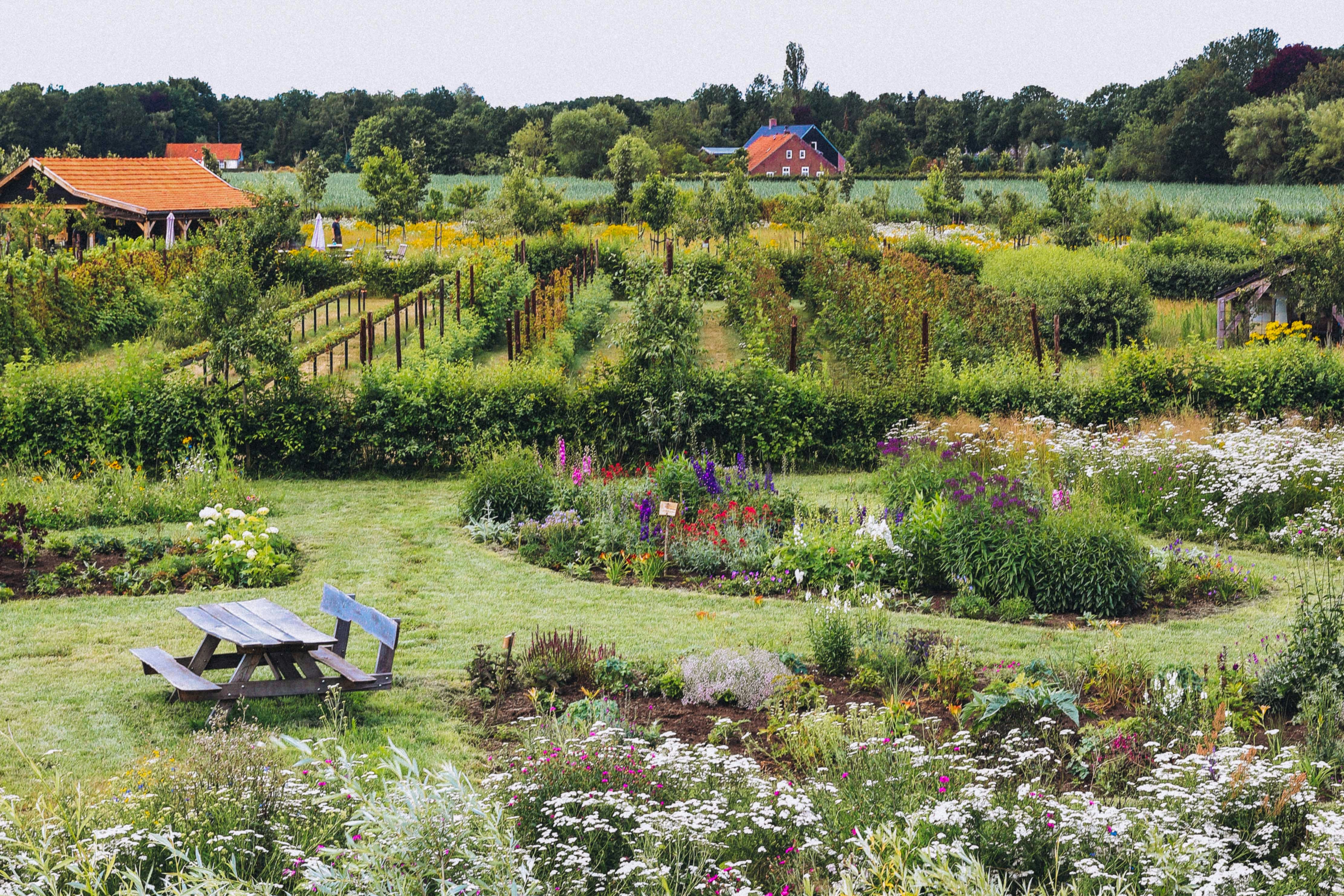 Camperplaats in de 7e Hemel - Blick auf den bunt bepflanzten Campingplatz
