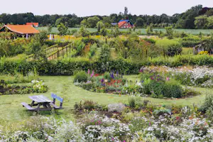 Camperplaats in de 7e Hemel - Blick auf den bunt bepflanzten Campingplatz