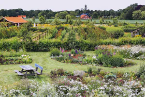 Camperplaats in de 7e Hemel - Blick auf den bunt bepflanzten Campingplatz