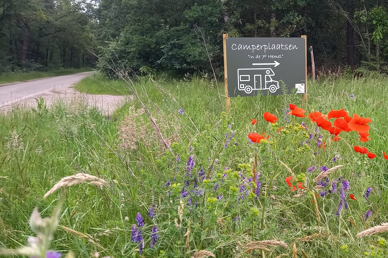 Camperplaats in de 7e Hemel - Schild des Campingplatzes
