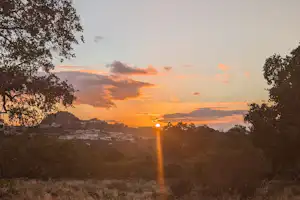 Sonnenuntergang über einer Wiese mit Bäumen und Steinen im Vordergrund, warmes Licht am Himmel.