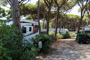 Camping 3 Estrellas - Stellplatz vom Campingplatz zwischen Bäumen