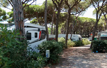 HolaCamp Barcelona