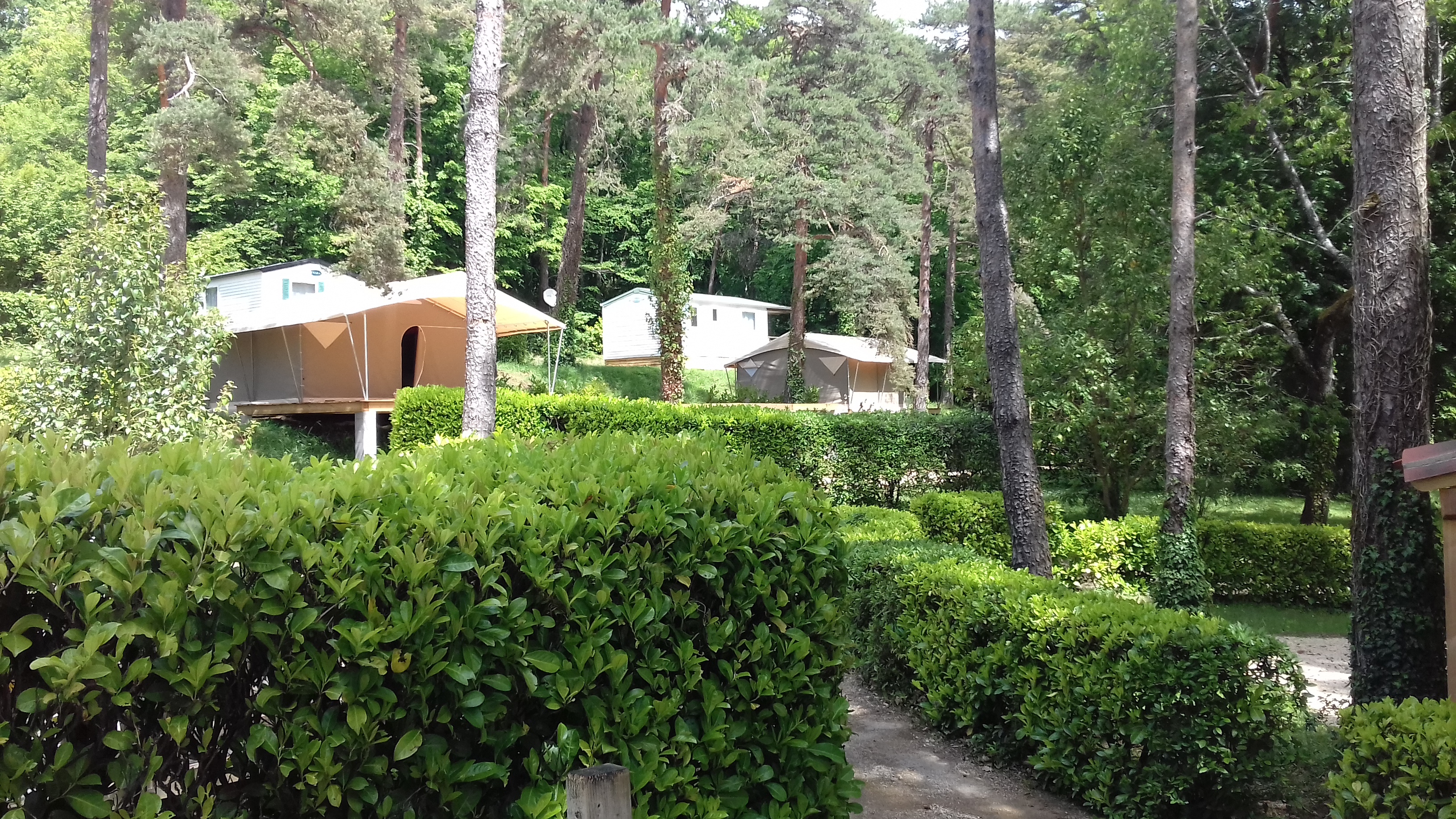 Camping 46 Rainettes