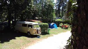 Camping 46 Rainettes