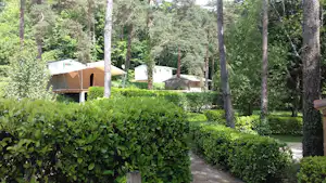 Camping 46 Rainettes