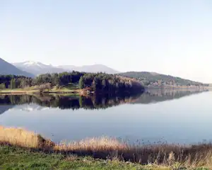 Ruhiger See mit Spiegelung, bewaldete Ufer und Gras am Rand, im Hintergrund Berge und bewölkter Himmel.