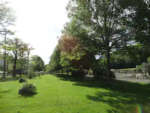 Grüner Campingplatz mit Rasenfläche, Bäumen und Hecken, daneben ein Weg und ein kleiner Bereich mit Sitzgelegenheiten.